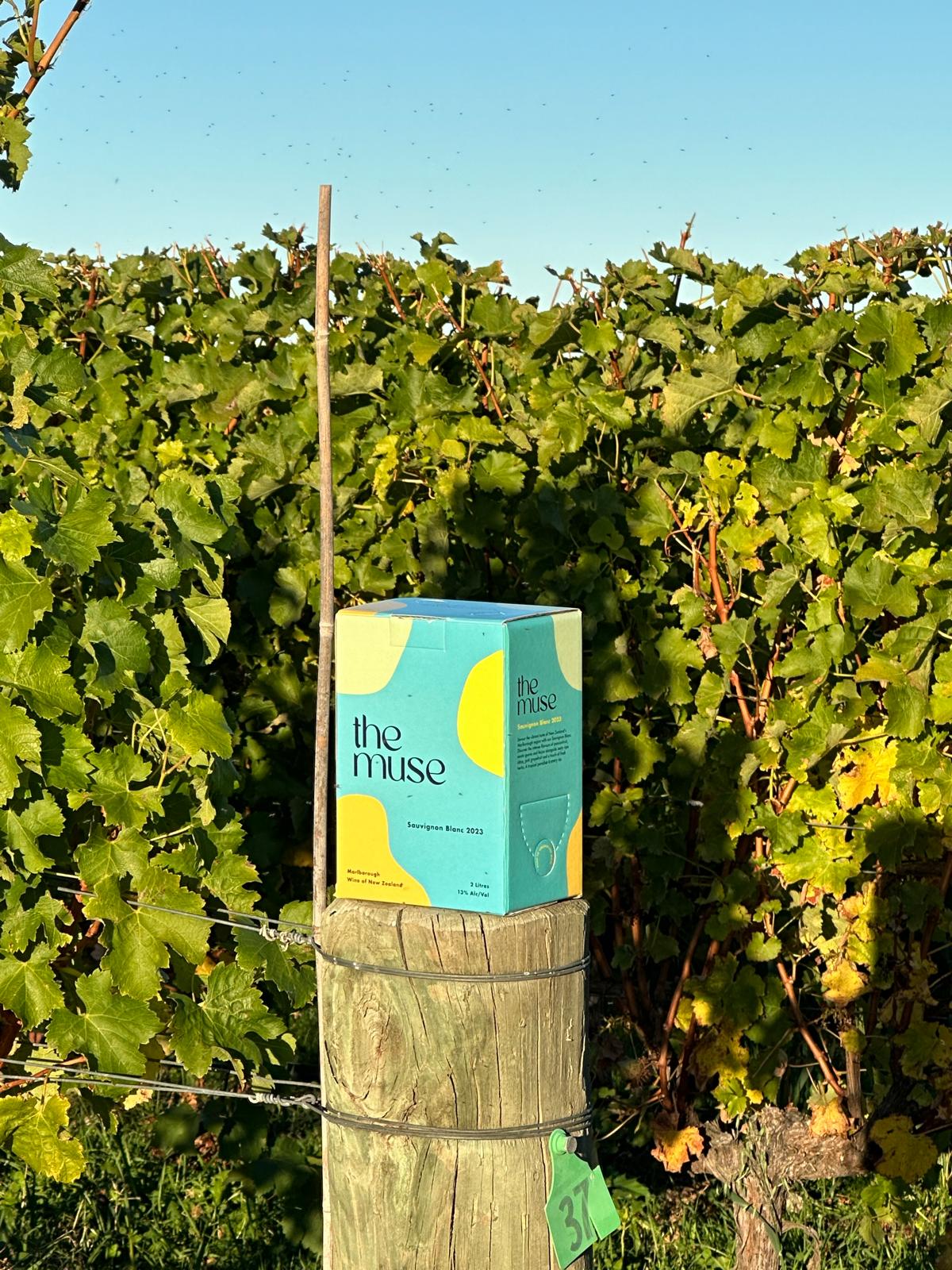 the muse Sauvignon Blanc 2023